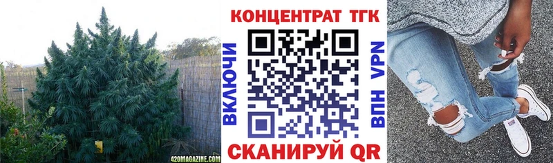 kraken ссылки Питкяранта мориарти телеграм ТГК гашишное масло